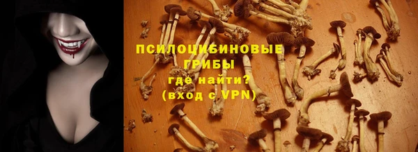 скорость Богданович