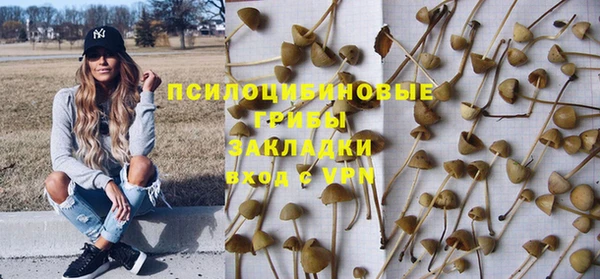 сатива Богородицк