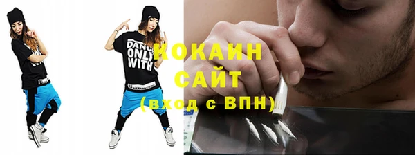 сатива Богородицк