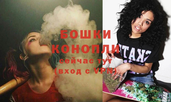 mix Белокуриха