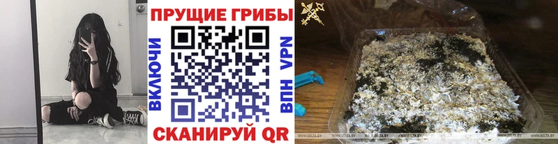Псилоцибиновые грибы Cubensis  наркотики  Нарткала 